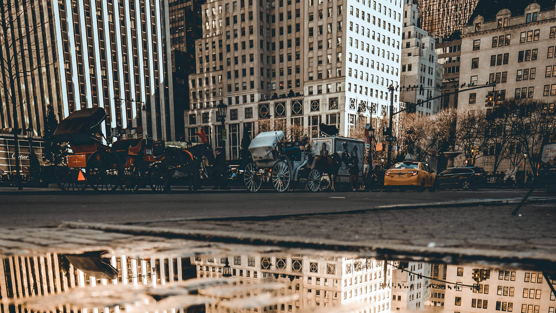 درپوش تصویر کارت